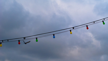gray background, clouds and electric colored light bulbs