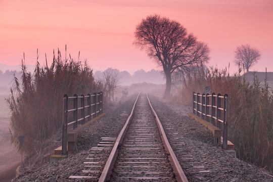 Paisaje de ra&iacute;les de tren con barandillas y &aacute;rbol al amanecer.