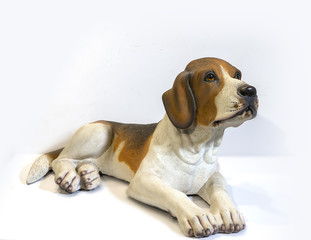 Dog isolated on white background. Beagle breed dog model crouching.