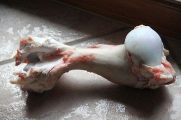 Big large cow raw bone for dogs