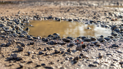Weg mit vielen Schlaglöchern und Pfützen