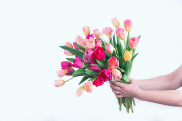 A beautiful bright bouquet of tulips in your hands, isolated on a white background. Best gift for a woman on March 8, mother's day
