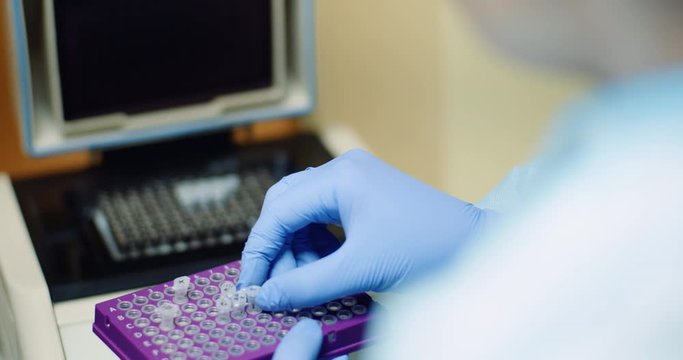 scientist puts virus samples into machine at biotechnology molecular laboratory.