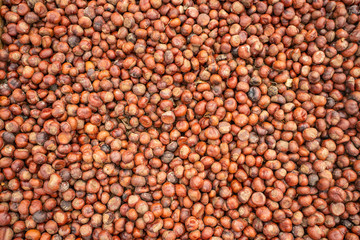 Brown chestnut texture