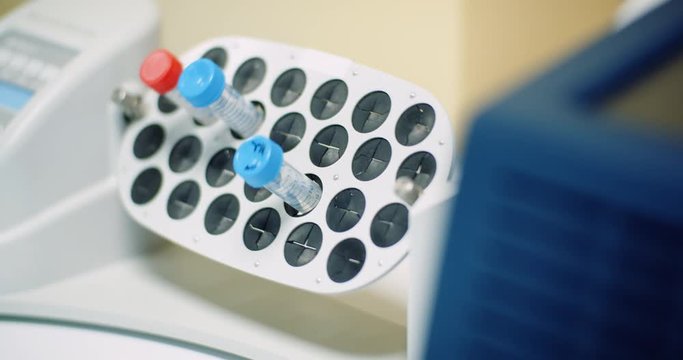 scientist puts virus samples into machine at biotechnology molecular laboratory.