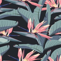 Tropische Strelitziablumen, blaue Bananenpalmenblätter, dunkler Hintergrund. Nahtloses Muster. Dschungellaubillustration. Exotische Pflanzen. Sommerstrandblumenmuster. Paradiesische Natur.