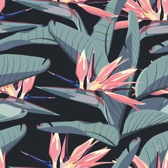 Foto op geborsteld aluminium Tropische bloemen Tropische strelitzia bloemen, blauwe bananenpalmbladeren, donkere achtergrond. Naadloze patroon. Jungle gebladerte illustratie. Exotische planten. Zomer strand bloemmotief. Paradijselijke natuur.