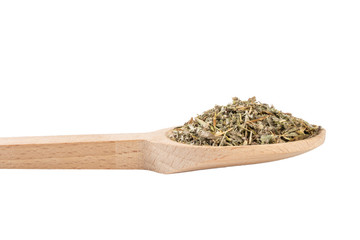 wormwood herb or in latin Absinthii herba herb in wooden spoon isolated on white background. medicinal healing herbs. herbal medicine. alternative medicine