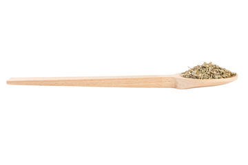 wormwood herb or in latin Absinthii herba herb in wooden spoon isolated on white background. medicinal healing herbs. herbal medicine. alternative medicine