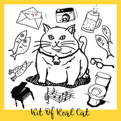 Set in the style of hand drawing, comic illustration outline. Kit of cat.
