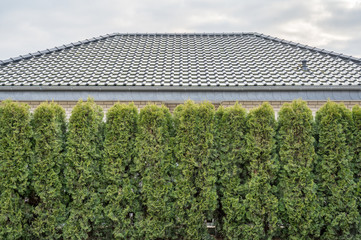 Graues Hausdach und hohe Hecke aus Koniferen als Hintergrund mit Textfreiraum
