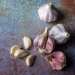 rocambole garlic