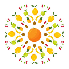 Circular vector composition of fruit in a flat style.