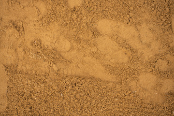 Brown sand texture