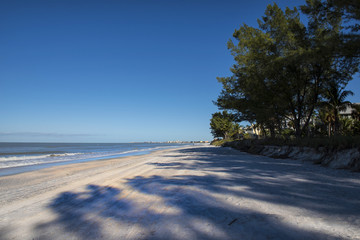 A quiet empty, white sandy beach with blue sky, some large trees offering shade and a distant horizon