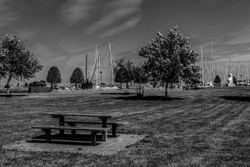  bench in the park with a view of the sailing masts in the harbor