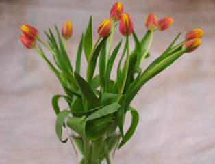 Blumenstrauß aus Tulpen an Ostern