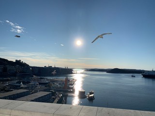 Oslo harbour 