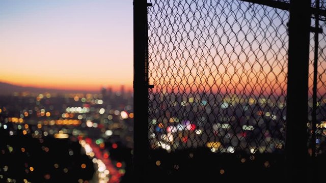 Los Angels Night View