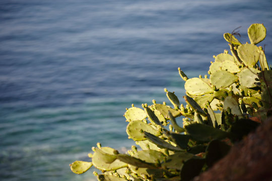 Details from the sea. Seascape