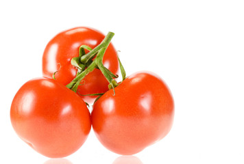 tomatoes isolated on white background