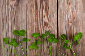 Green clover leaf on vintage wooden background. Top view