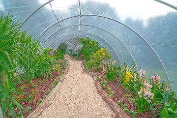 entrance to the greenhouse of flowers