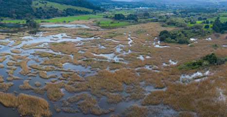 Aerial view of the Victoria marshes, Noja. Marismas de Santoña, Victoria y Joyel Natural Park, Cantabrian Sea, Cantabria, Spain, Europe
