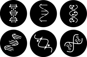 DNA spirals icons set. Deoxyribonucleic, nucleic acid helix. Spiraling strands. Chromosome. Molecular biology. Genetic code. Genome. Genetics vector illustrations