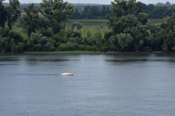 The lush vegetation of the Danube in the background. The fast boat sails the Danube.