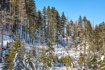 Mala Laka Valley (Dolina Małej Łąki) nearby Zakopane in Tatra mountains.