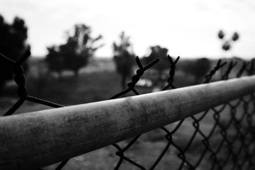 Fence