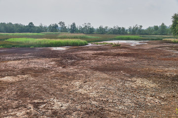 SOOS National Nature Reserve, marshes, peat bogs, fens