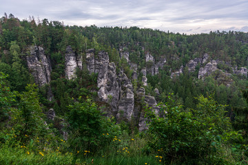 Obraz premium Lots of rocks in Saxon Switzerland near Dresden
