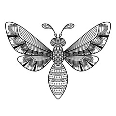 Vector bee antistress doodle coloring book page for adult. Zentangle insect black and white illustration. © Ирина Яшкирева