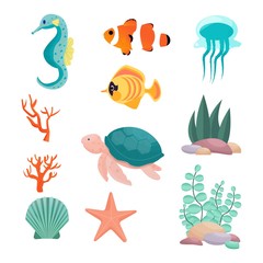 Set from seahorse, turtle, exotic fish, clown fish, jellyfish, starfish, seashell, corals, underwater plants in vector design. Isolated objects on white background. 