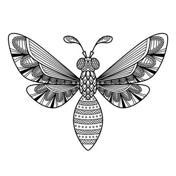 Vector bee antistress doodle coloring book page for adult. Zentangle insect black and white illustration.