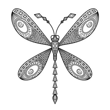 Vector dragonfly antistress doodle coloring book page for adult. Insect black and white illustration.