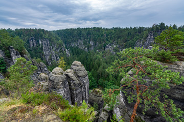Lots of rocks in Saxon Switzerland near Dresden
