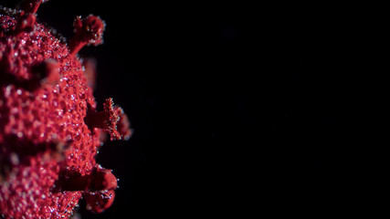 Coronavirus, COVID-19, Red virus in a dark background