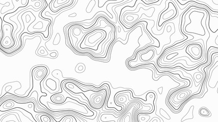 Topographic contour map on white background. Vector grid map.
