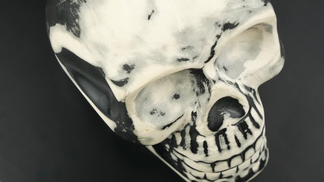 Black & white old shabby life skull rotates on the table.