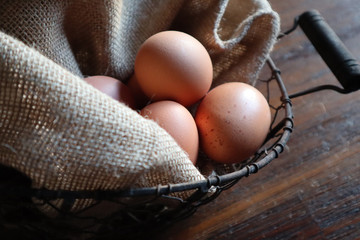  Braune Eier