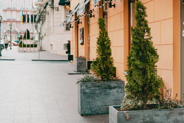 Fototapeta na wymiar Little spruces in big planter pots stands near the orange building. Restaurant. Public space. Urban. Outdoor. Design. Architecture. Exterior. Street. Sidewalk