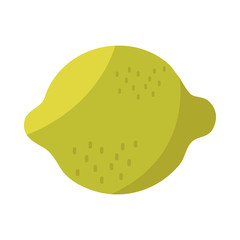 lemon citrus fruit tropical fresh icon