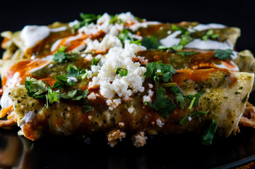 Chicken Filled Green Enchiladas, Traditional Mexican Meal