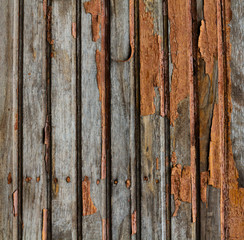 texture of the old painted wooden board. Paint shabby from old age. Burnout of the Paint and varnish material