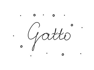 Gatto phrase handwritten with a calligraphy brush. Cat in italian. Modern brush calligraphy. Isolated word black