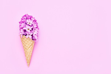 Waffle ice cream cone with pink hyacinth flower on pink background. Spring concept. Copy space, top view