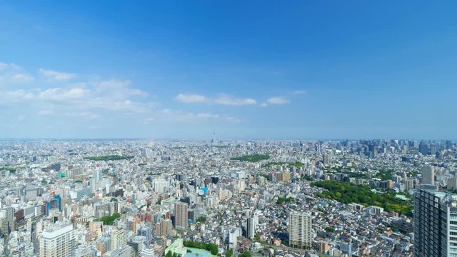 東京 風景　タイムラプス 新緑と青空 5月